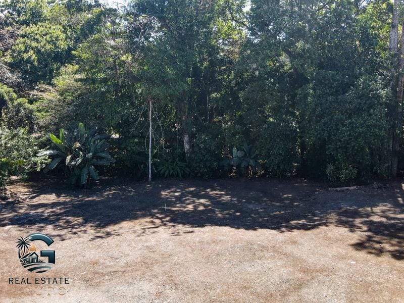 8124 Lote Entrada Ojochal 22