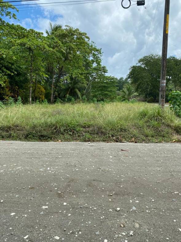 81a8990e-37e7-4aa4-842d-d1579c8fab5e