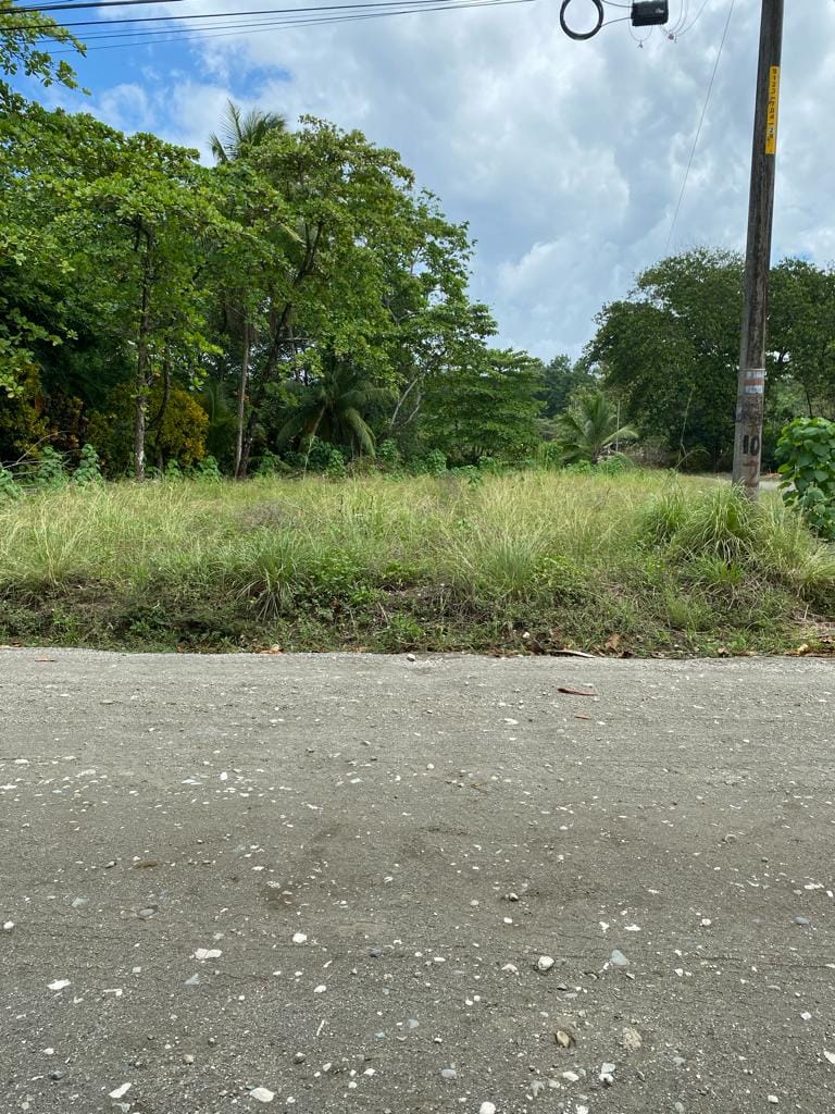 81a8990e-37e7-4aa4-842d-d1579c8fab5e