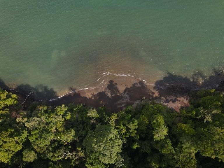 877b03e83660677c7734e494f95025f3-min