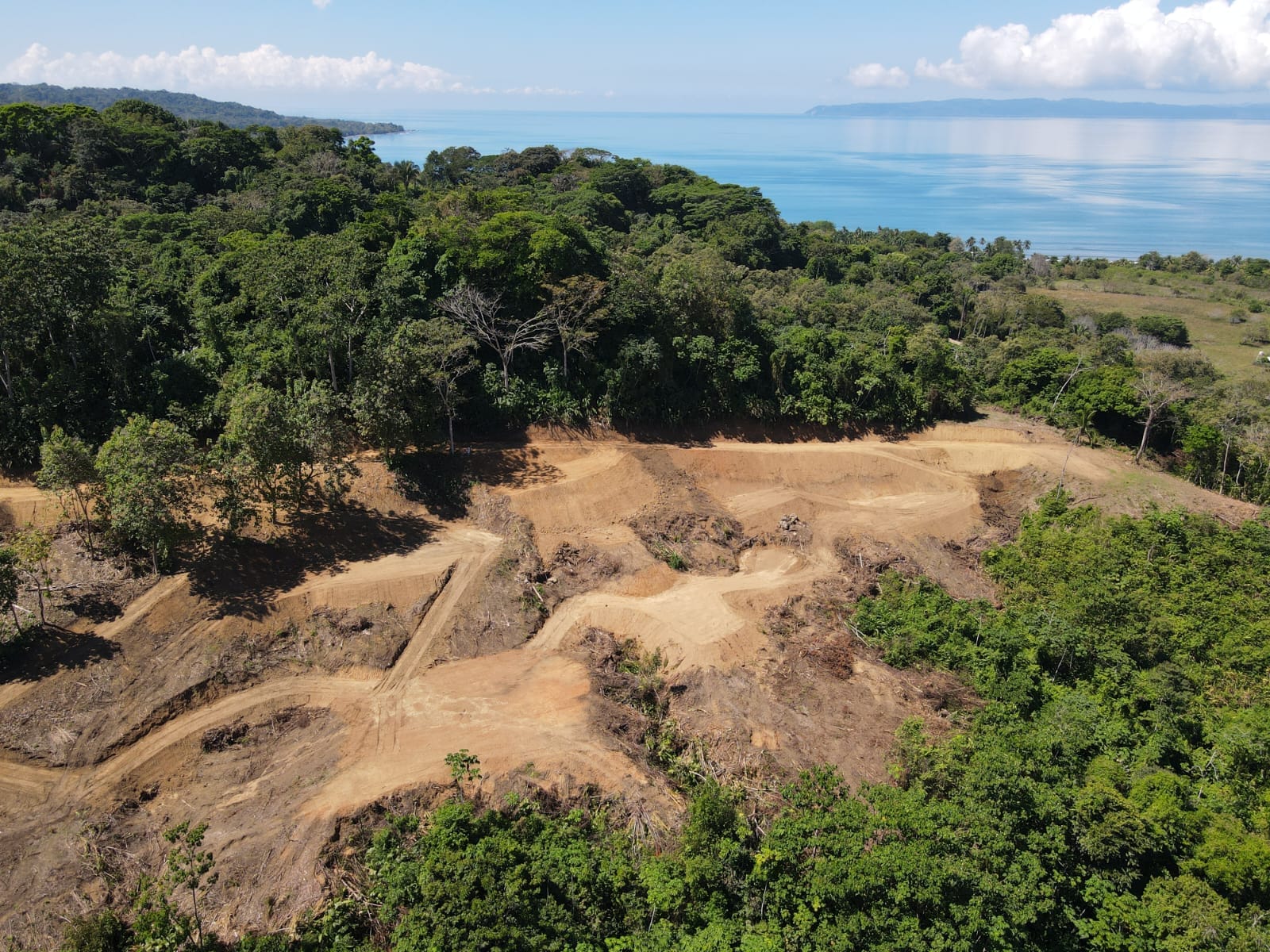 8c807615-6296-44e3-b0bf-81a513823f34