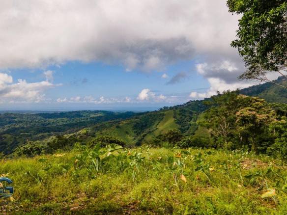 DJI_0890-23062022-1170x785