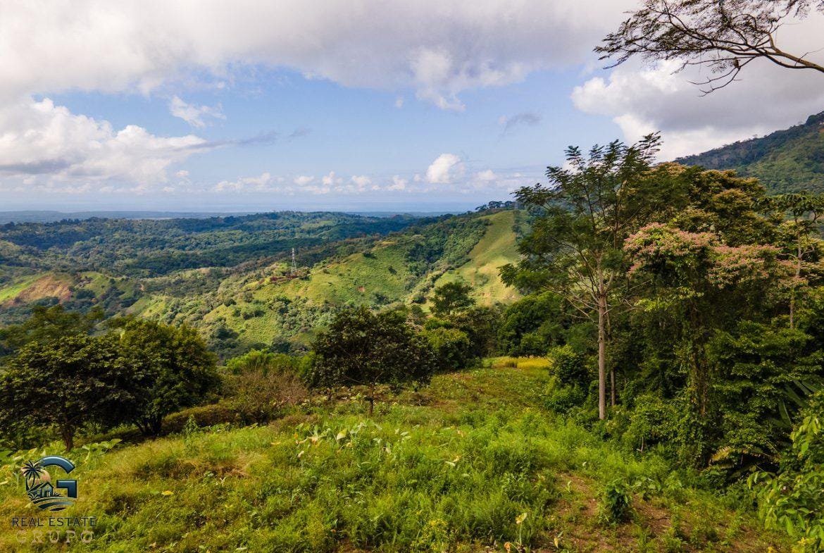 DJI_0893-23062022-1170x785