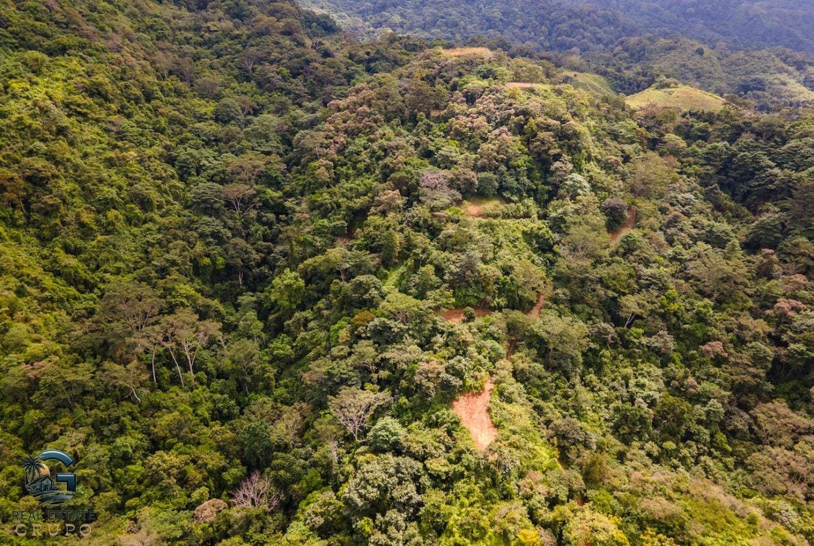 DJI_0901-23062022-1170x785