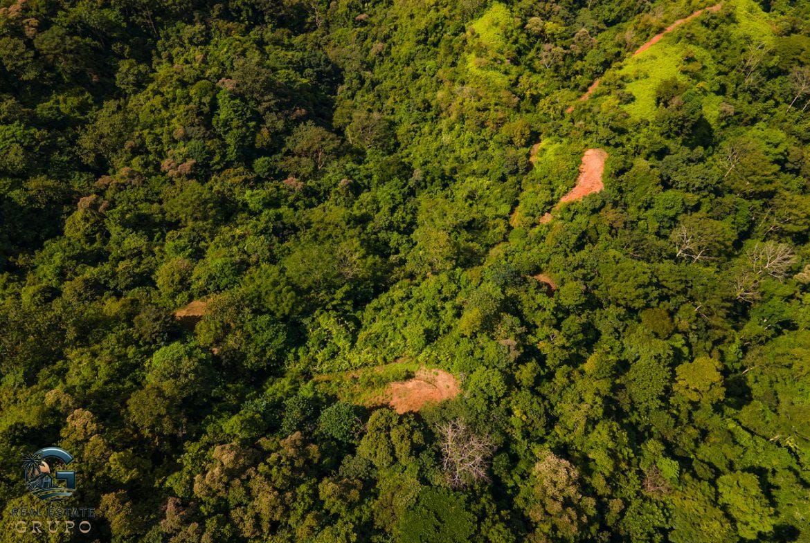 DJI_0910-23062022-1170x785