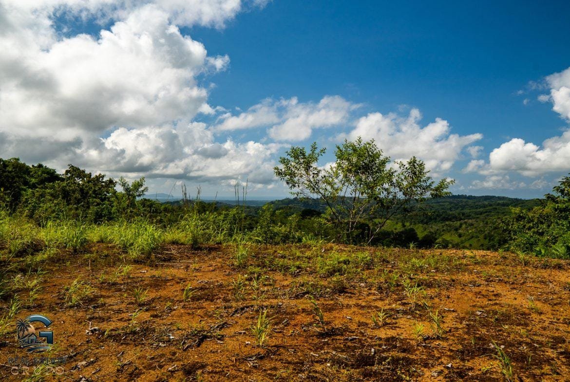 DSC08806-23062022-1170x785