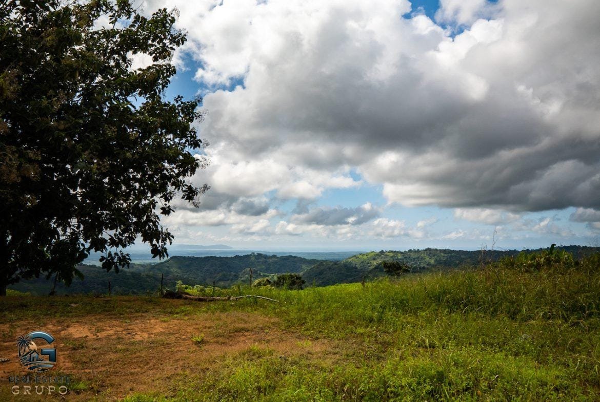 DSC08809-23062022-1170x785