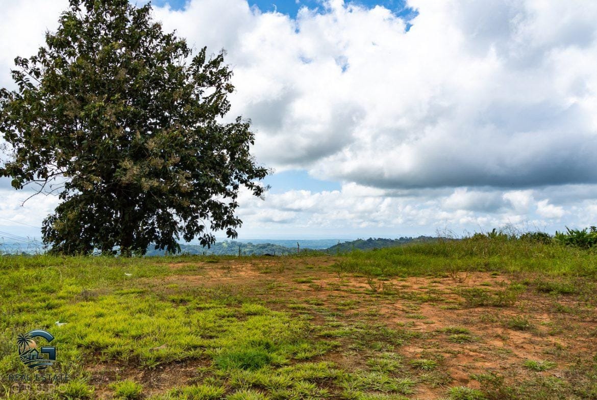 DSC08819-23062022-1170x785