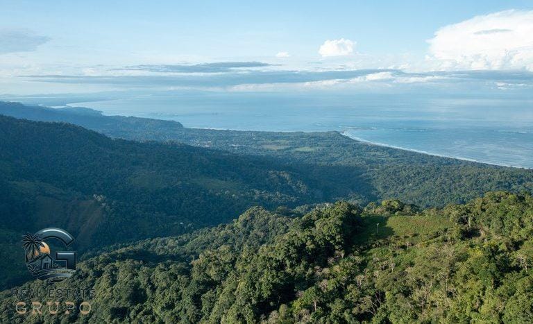 For-Sale-Private-Natural-Reserve-Sea-Ridge-Reserve-a-thousand-acres-of-innate-natural-wonder-of-whats-one-of-the-worlds-most-biologically-diverse-areas-1-768x467