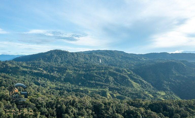 For-Sale-Private-Natural-Reserve-Sea-Ridge-Reserve-a-thousand-acres-of-innate-natural-wonder-of-whats-one-of-the-worlds-most-biologically-diverse-areas-2-768x467