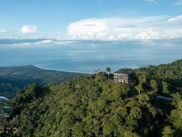 For-Sale-Private-Natural-Reserve-Sea-Ridge-Reserve-a-thousand-acres-of-innate-natural-wonder-of-whats-one-of-the-worlds-most-biologically-diverse-areas-3-768x467