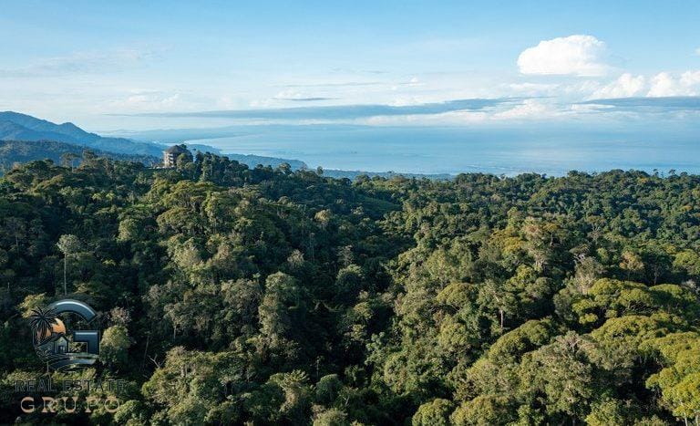 For-Sale-Private-Natural-Reserve-Sea-Ridge-Reserve-a-thousand-acres-of-innate-natural-wonder-of-whats-one-of-the-worlds-most-biologically-diverse-areas-4-768x467