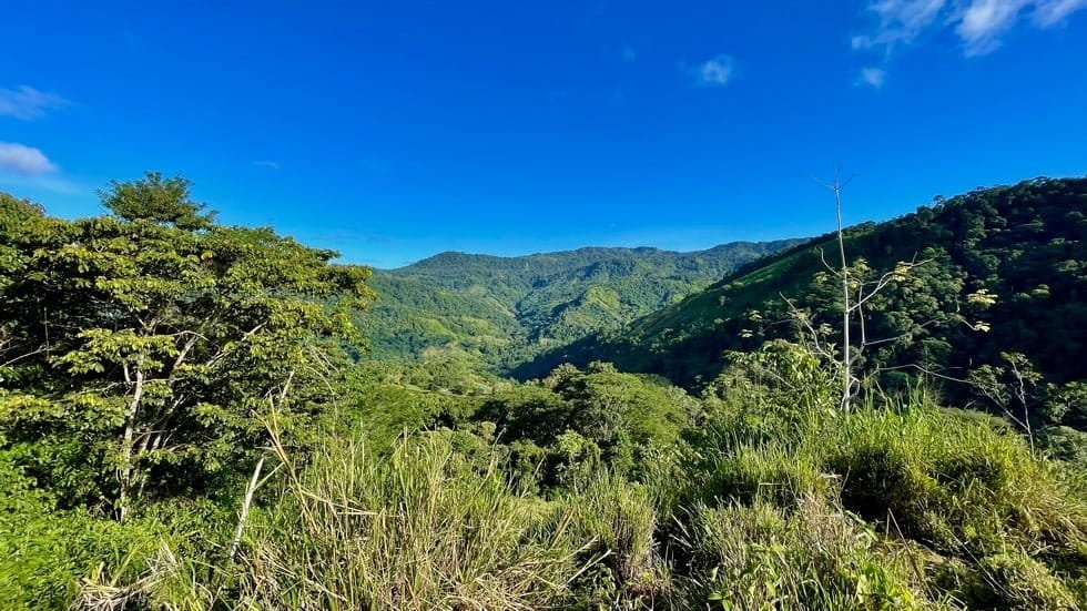 Foto 20-9-23, 07 13 39