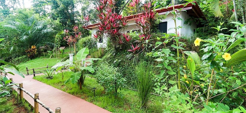 Hotel-Hatillo-Ocean-View-59-980x450-min