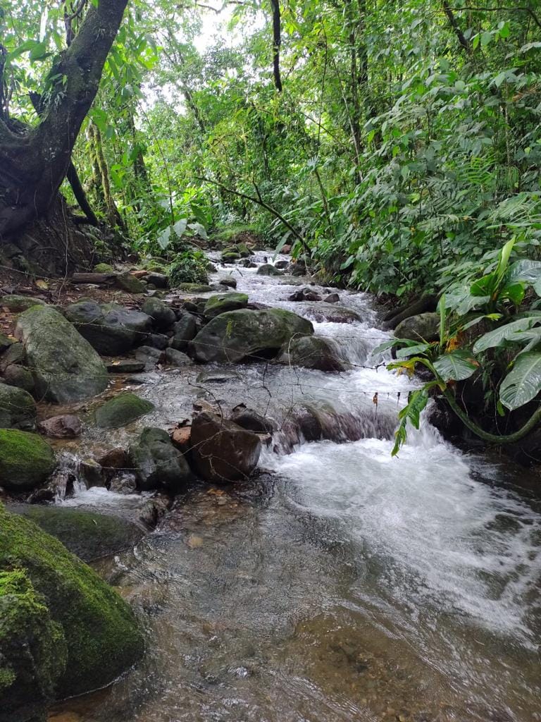 IMG-20230124-WA0036 (1)