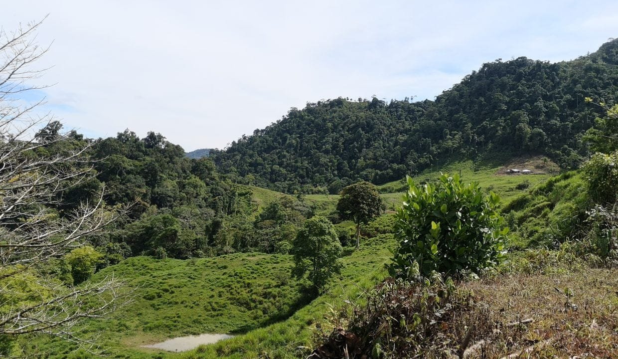 IMG_20200617_092225-1240x720