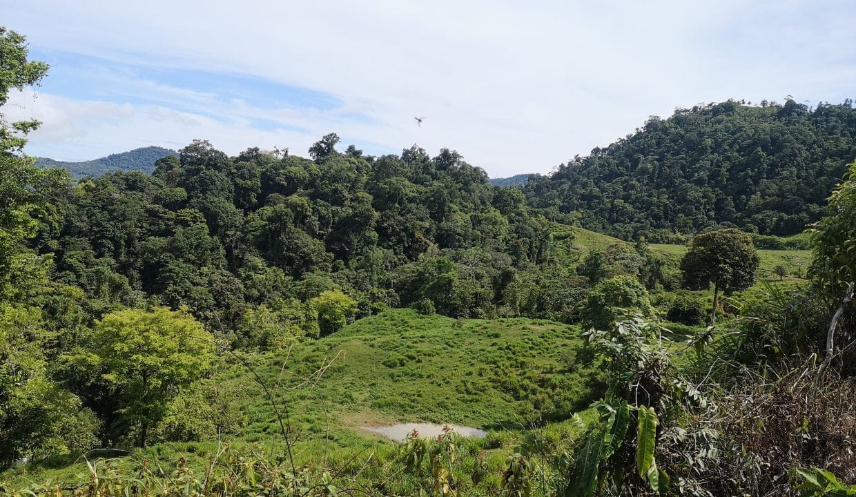 IMG_20200617_092231-1240x720