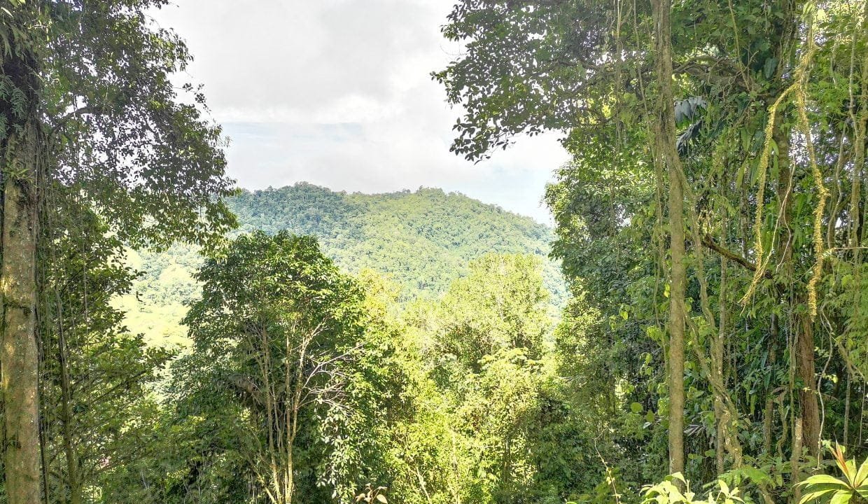 IMG_20200617_094358-1240x720 (1)