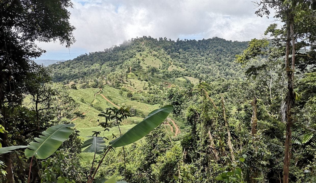 IMG_20200617_094900-1240x720