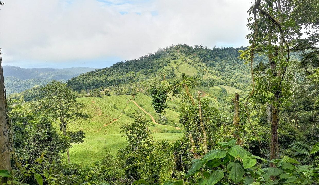 IMG_20200617_094921-1240x720