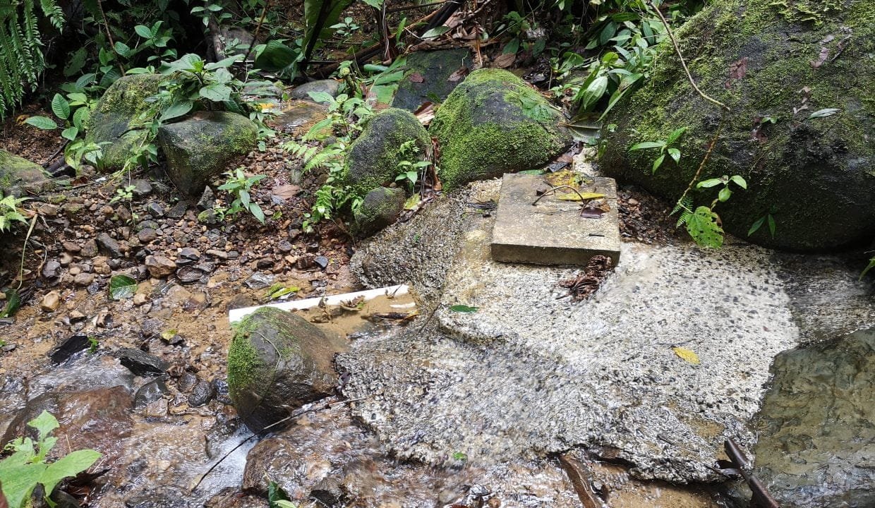 IMG_20200617_101131-1240x720