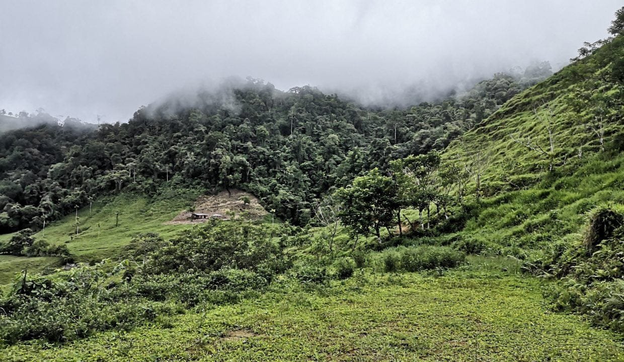 IMG_20200617_103044-1240x720