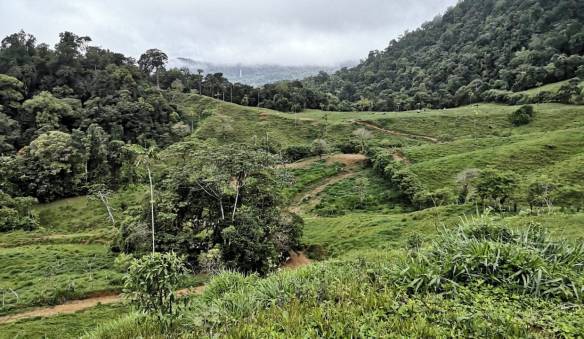 IMG_20200617_103206-1240x720