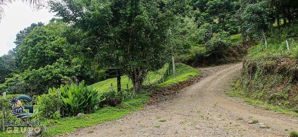 IMG_7168-980x450 (1)