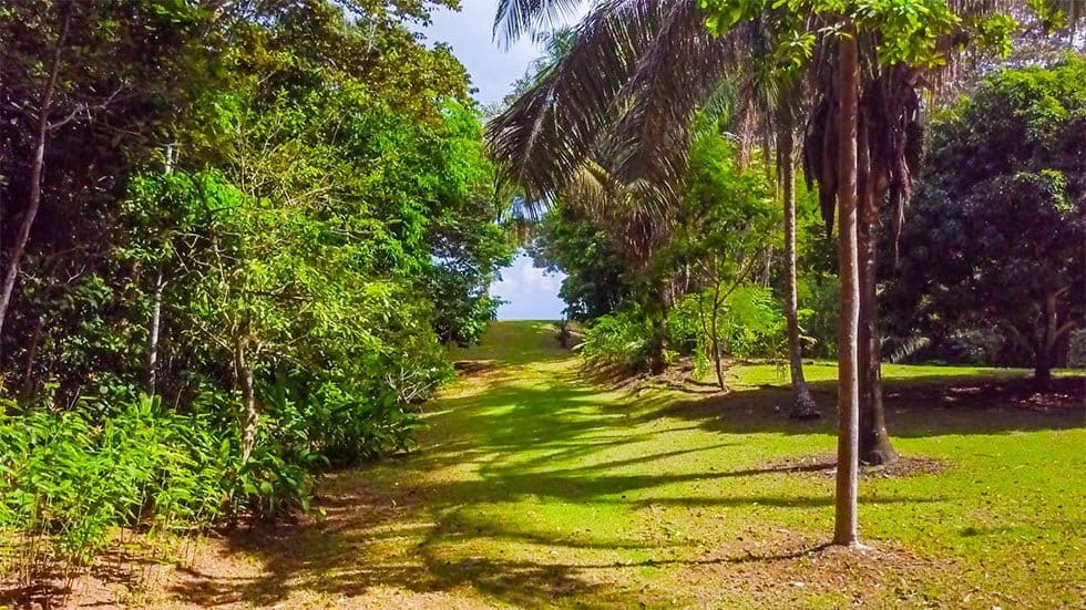 Lot-1-and-2-Stills.00_00_02_05-min