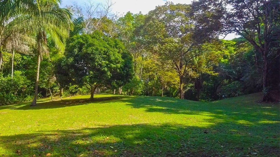 Lot-1-and-2-Stills.00_03_30_06-min