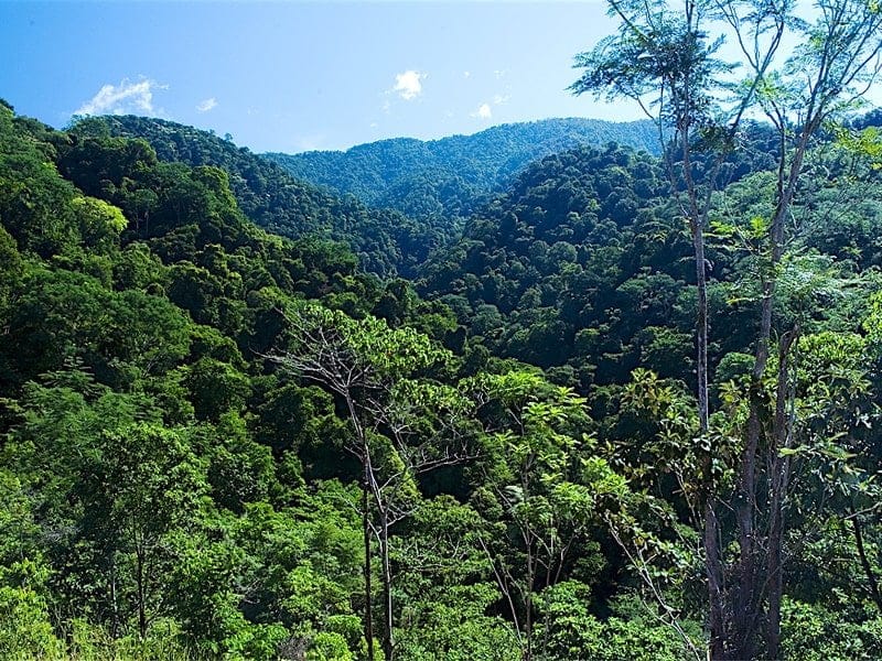 MA photos on CD 007-min