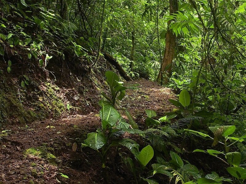 MA photos on CD 029-min