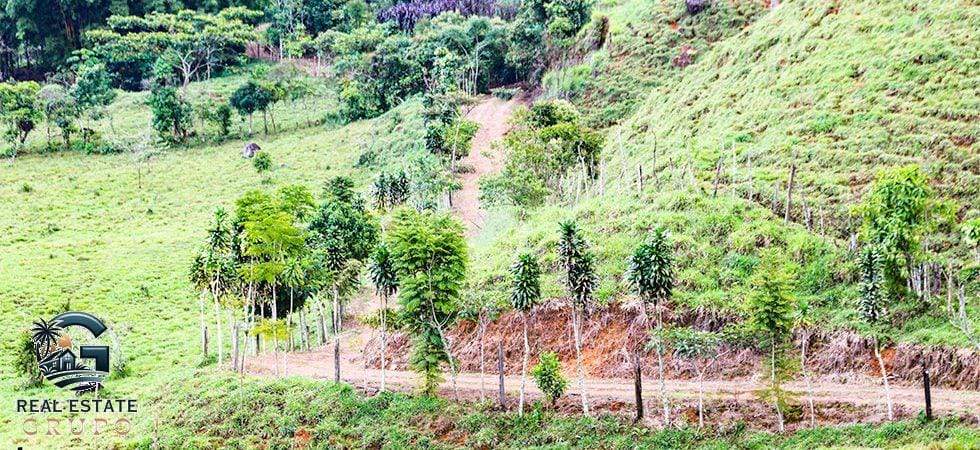 Paradise-Mountain-San-Isidro-18-980x450