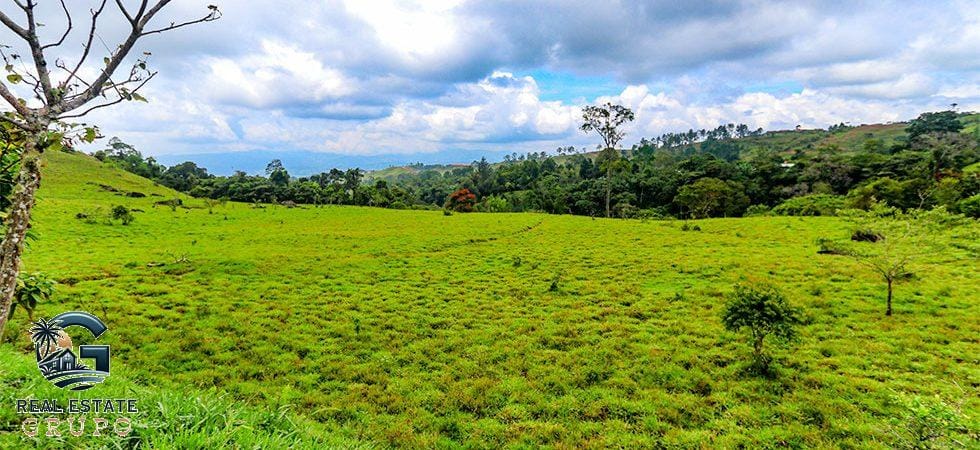 Paradise-Mountain-San-Isidro-20-980x450