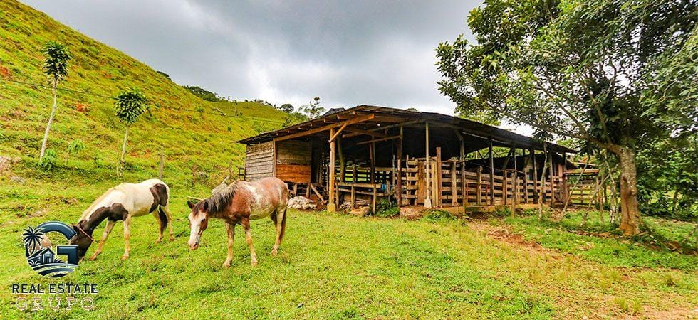 Paradise-Mountain-San-Isidro-31-980x450