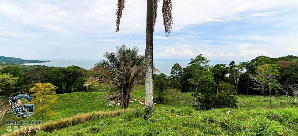 Pavones-Development-Beachfront-14-980x450