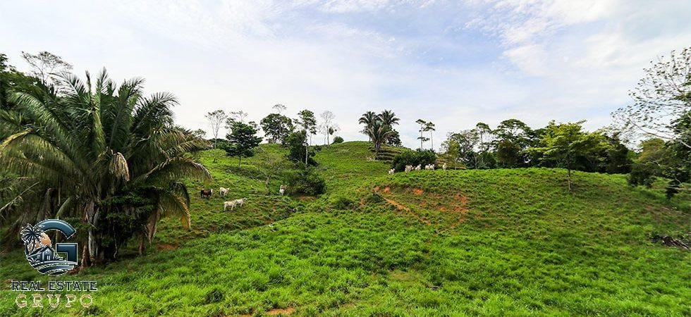 Pavones-Development-Beachfront-20-980x450