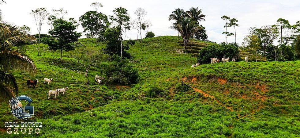 Pavones-Development-Beachfront-21-980x450