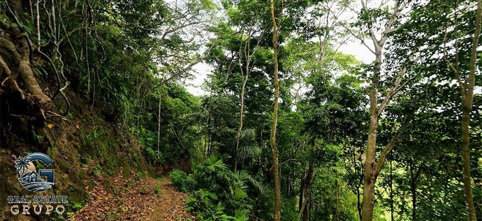 Pavones-Development-Beachfront-24-980x450