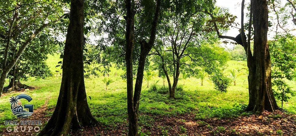 Pavones-Development-Beachfront-27-980x450