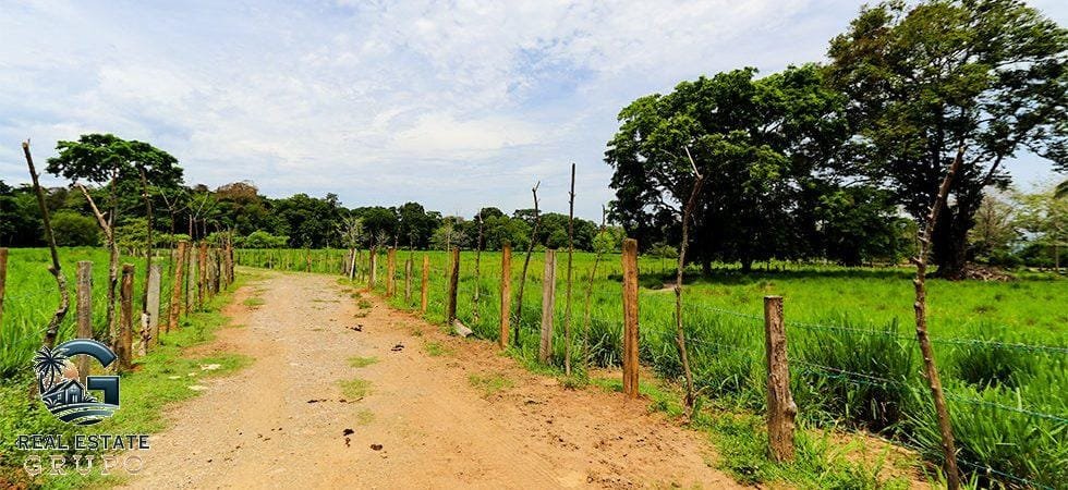 Pavones-Development-Beachfront-36-980x450