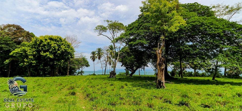 Pavones-Development-Beachfront-43-980x450