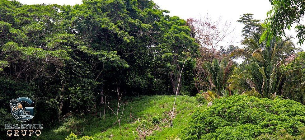 Pavones-Development-Beachfront-5-980x450