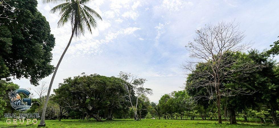 Pavones-Development-Beachfront-60-980x450