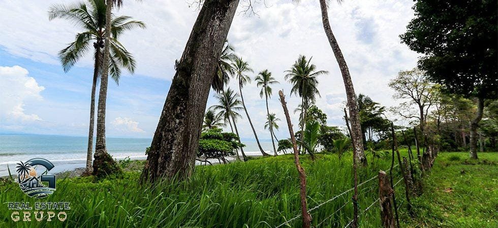 Pavones-Development-Beachfront-61-980x450