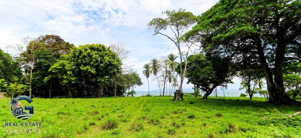 Pavones-Development-Beachfront-64-980x450