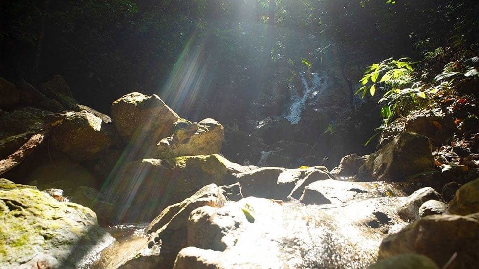 River_Rainbow_WEB-min