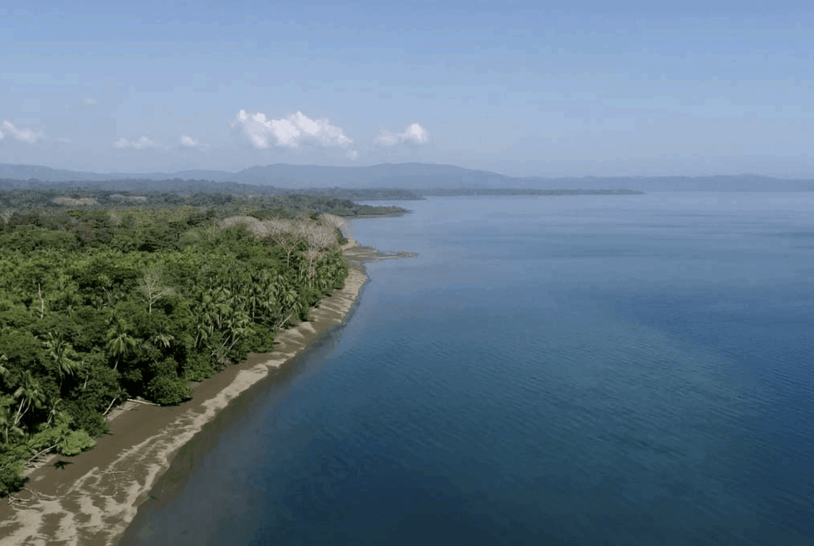 Screenshot 2024-02-04 at 09.48.06