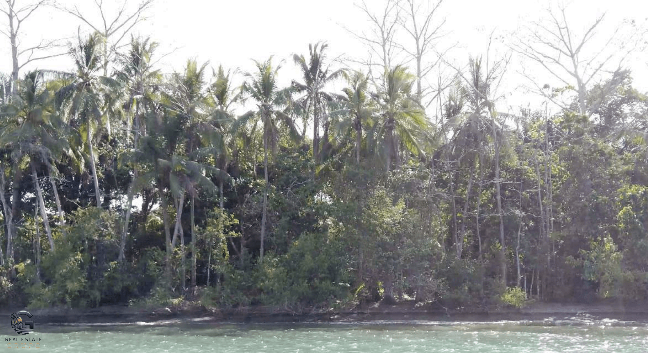 Screenshot 2024-02-04 at 09.48.29