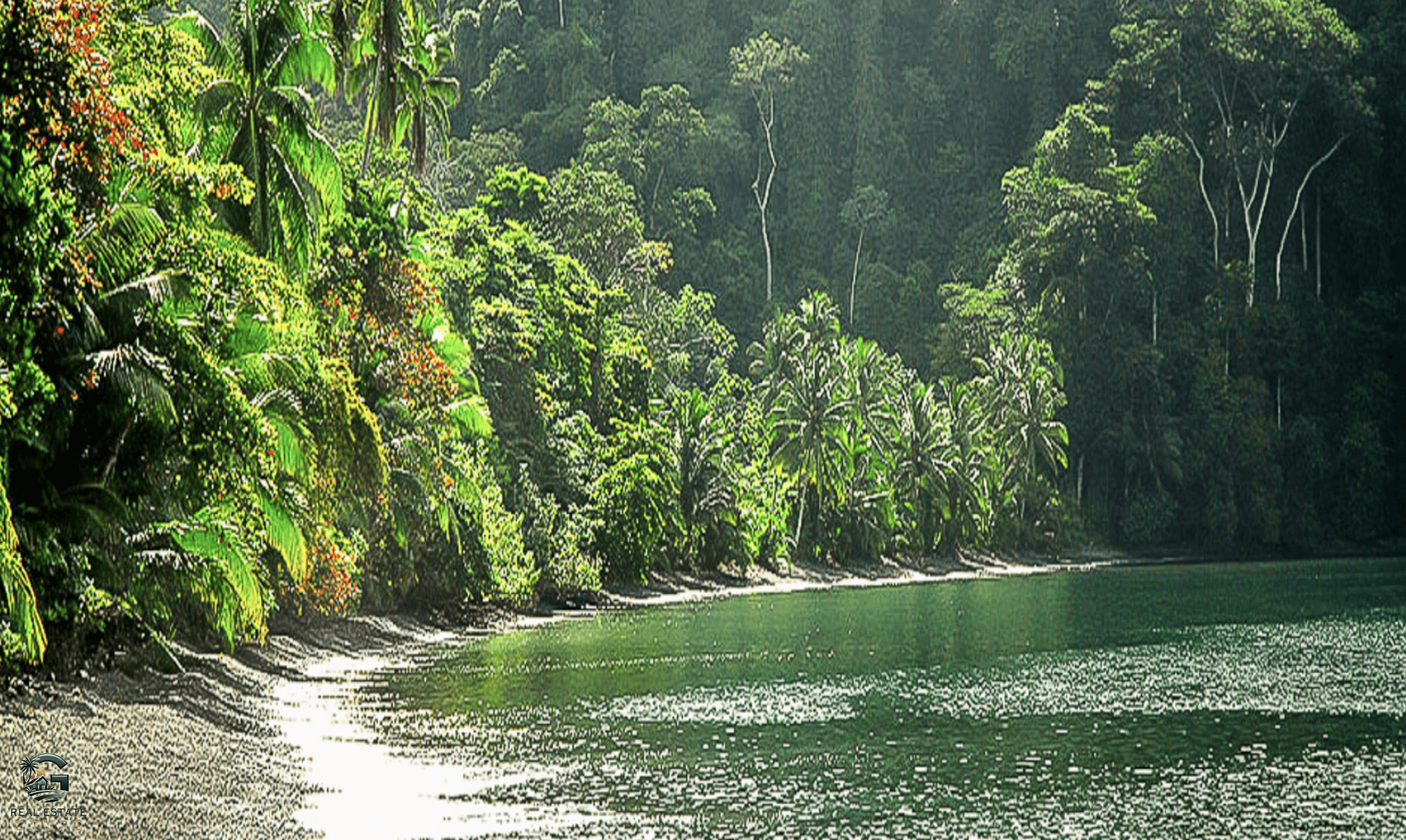 Screenshot 2024-02-04 at 17.24.38